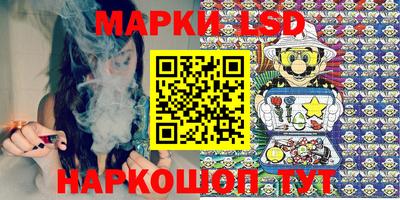 гидропоника Жуковский