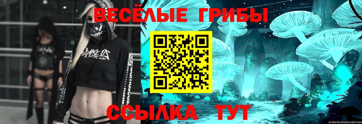 Кувандык  Галлюциногенные грибы Psilocybine cubensis  Вход с VPN 